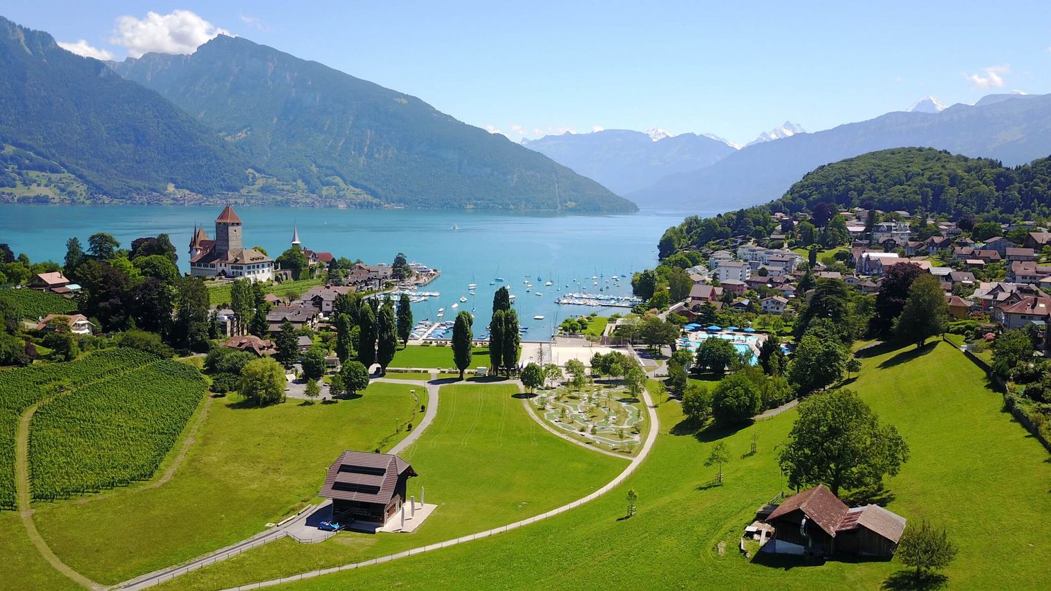 Blick im Sommer auf die Spiezer Bucht mit Schloss Spiez und Thunersee