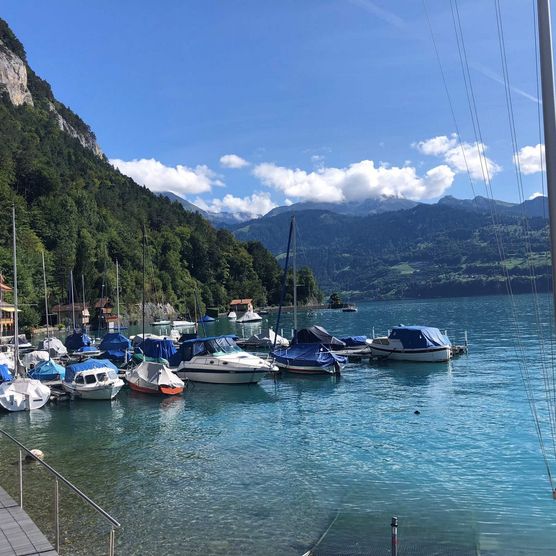 Kleiner Hafen in Merligen mit verschiedenen Motor- und Segelbooten