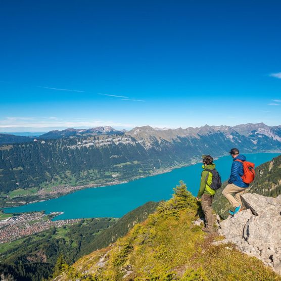 Aussicht von der Schynige Platte über den Brienzersee