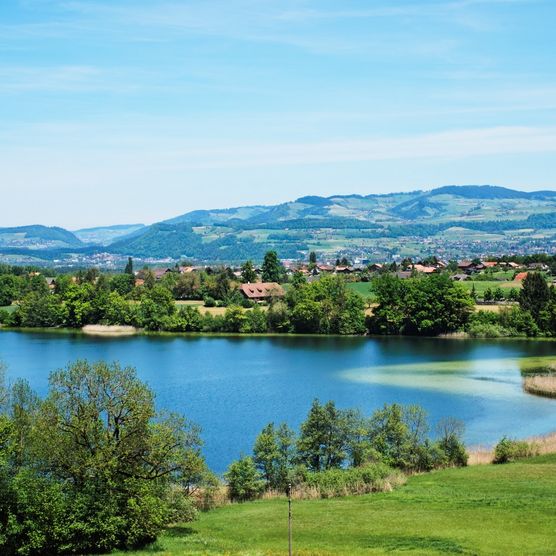 Idyllischer Amsoldingersee umgeben von grüner Naturlandschaft und den charmanten Dörfern der Region Thun West