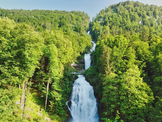 Giessbachfall fliesst durch einen Wald zwischen grünen Bäumen