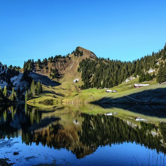 Spiegelglatter Hinterstockensee in dem sich die grünen Tannen und Alpweiden spiegeln