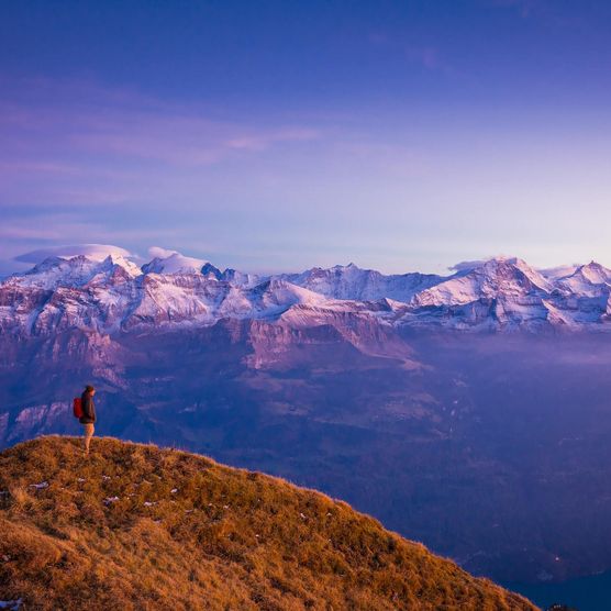 Wanderer auf dem Brienzer Rothorn in einer violetten Abendstimmung mit Blick auf die verschneiten Berge