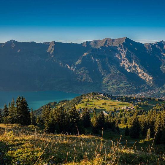 Blick auf die Brienzer Rothornkette und den türkisen Brienzersee von der Axalp ob Brienz