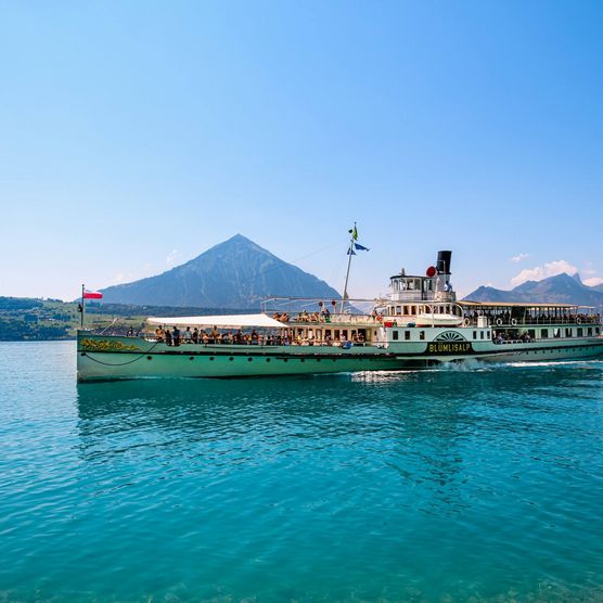 Das Dampfschiff Blümlisalp auf dem Thunersee mit dem Niesen im Hintergrund