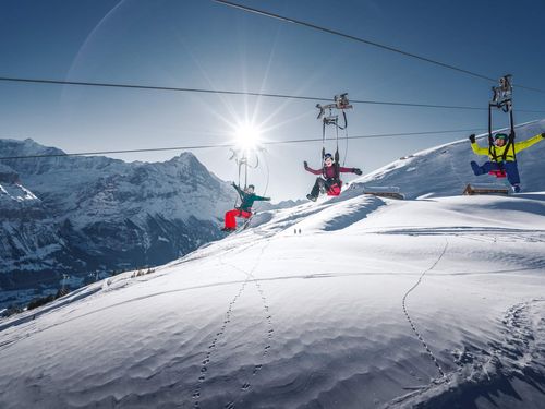 Drei Gäste fliegen mit dem First Flyer durch die verschneite Winterlandschaft mit Bergpanorama
